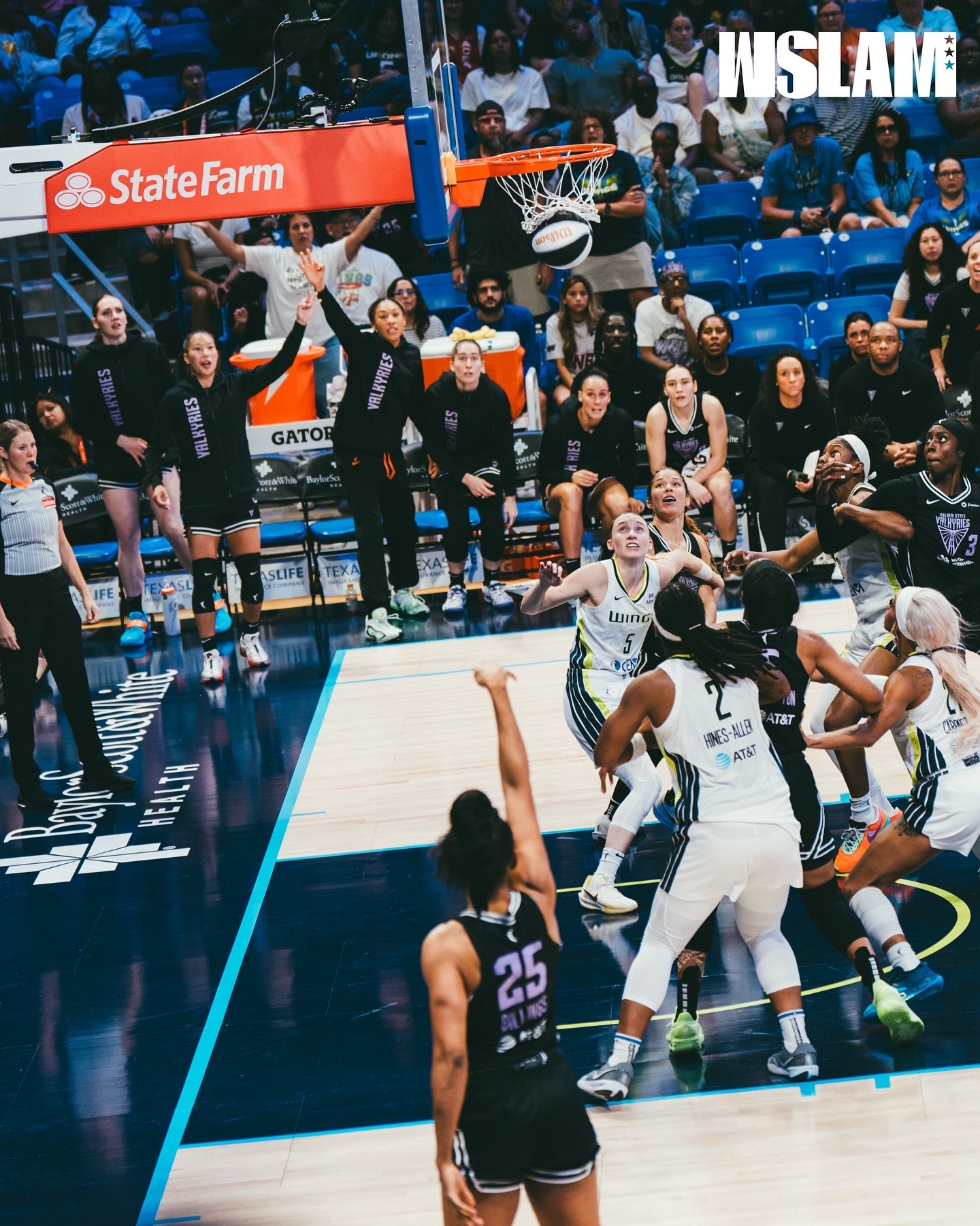 篮网逆转山西队，福克斯统治全场的简单介绍