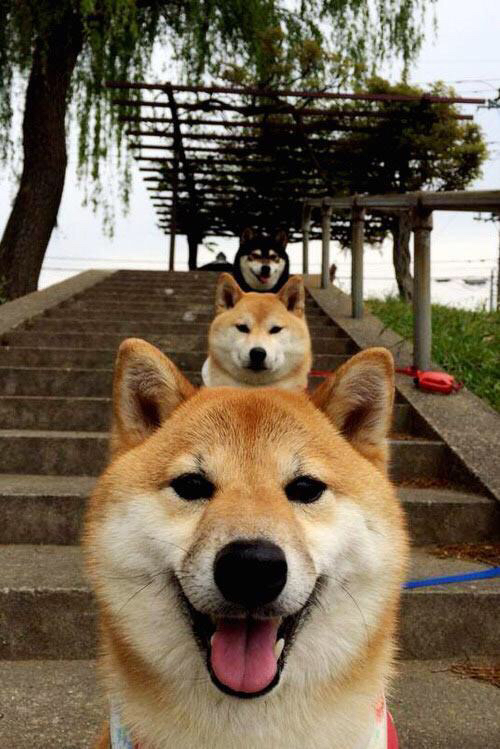 智慧的轻取与热血的点燃,当法国队的优雅遇见马琳的火焰