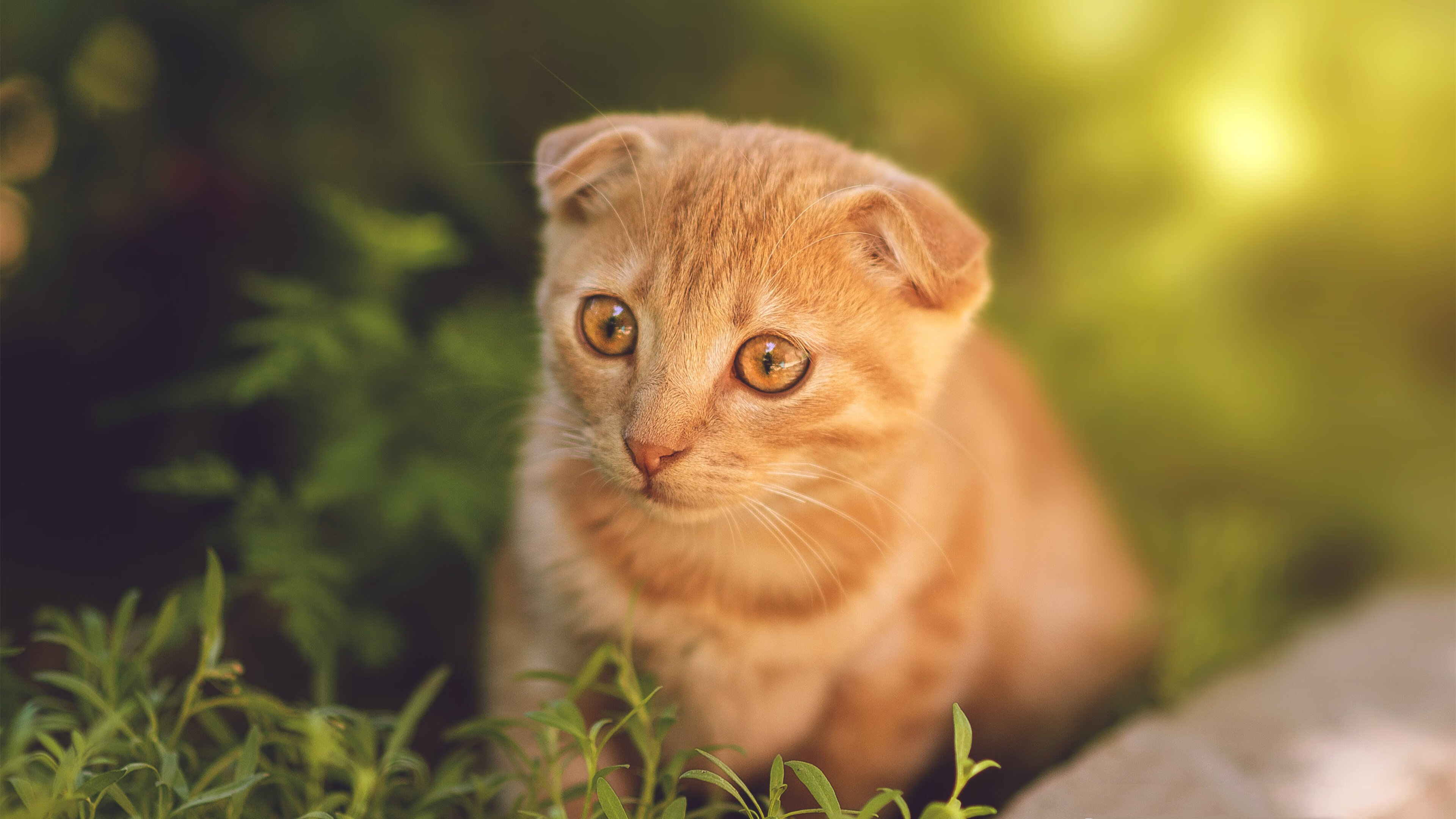 唯一，从洛杉矶到慕尼黑，胜利的密码从未改变