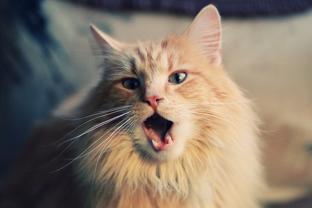 数据破茧，当米切尔的火热烧穿传统篮球认知