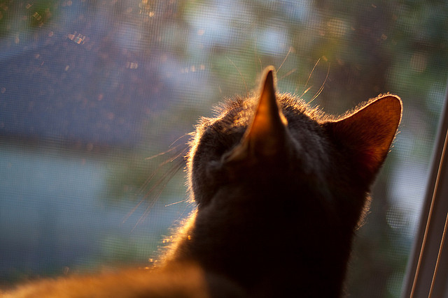 铁闸显威！卡瓦哈尔锁死对手右路走廊，高效克罗地亚兵不血刃轻取埃及
