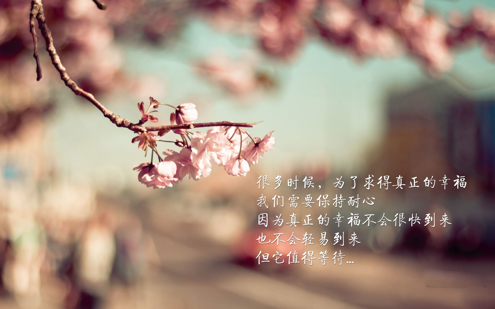 双线高能，当英超的惊心一夜遇上塔图姆的冠军基因