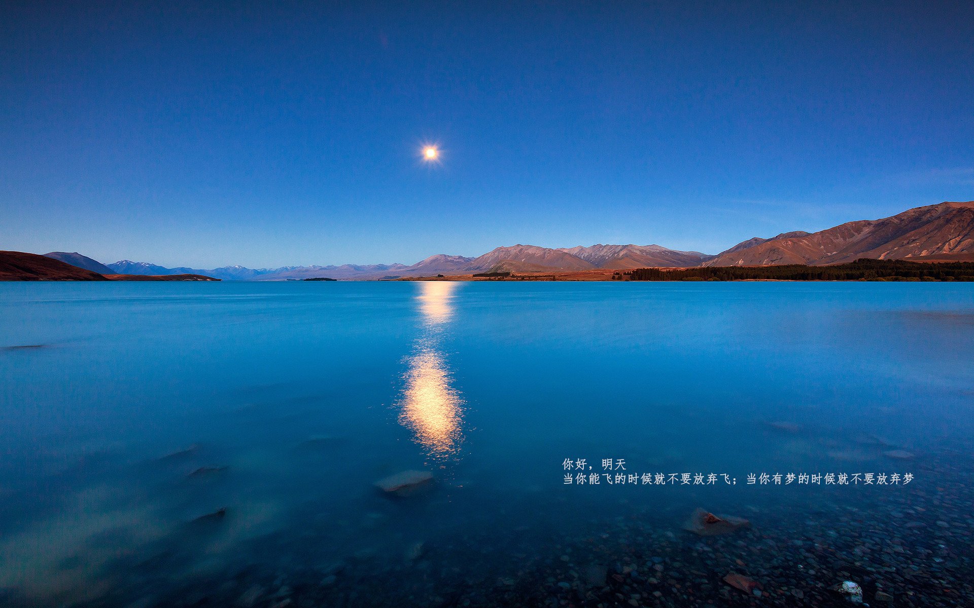 当大洋洲漩涡吞没欧洲灯塔，新西兰爆冷背后的足球地理学重组