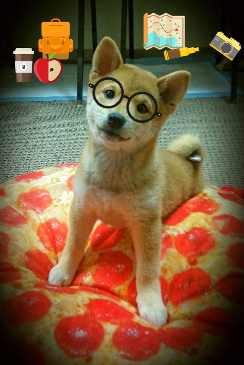 关键先生阿尔瓦雷斯一锤定音！土耳其黑马强势晋级，切尔西欧冠梦碎