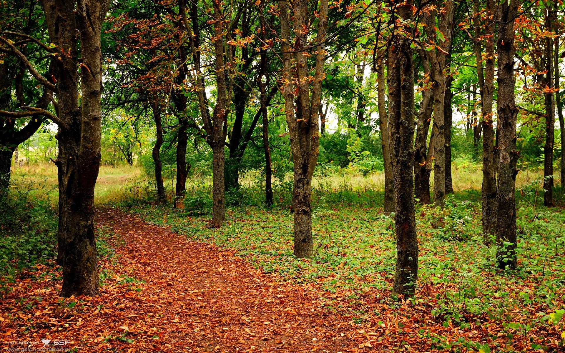 天赋之外，久保建英的星光与乌克兰风暴