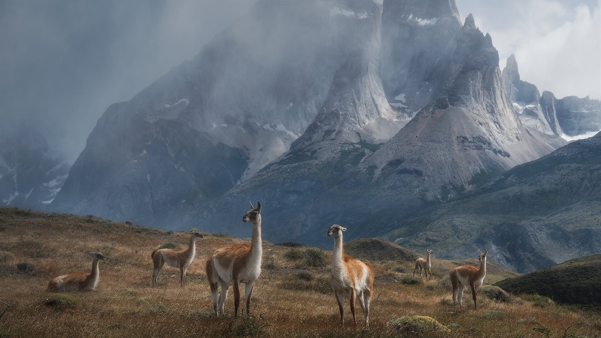 总决赛风云，火箭全面压制活塞，爱德华兹一战封神