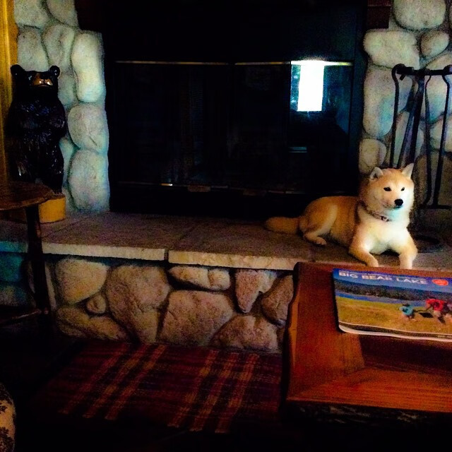 双重奏，恰尔汗奥卢的交响指挥与格列兹曼的节奏引擎