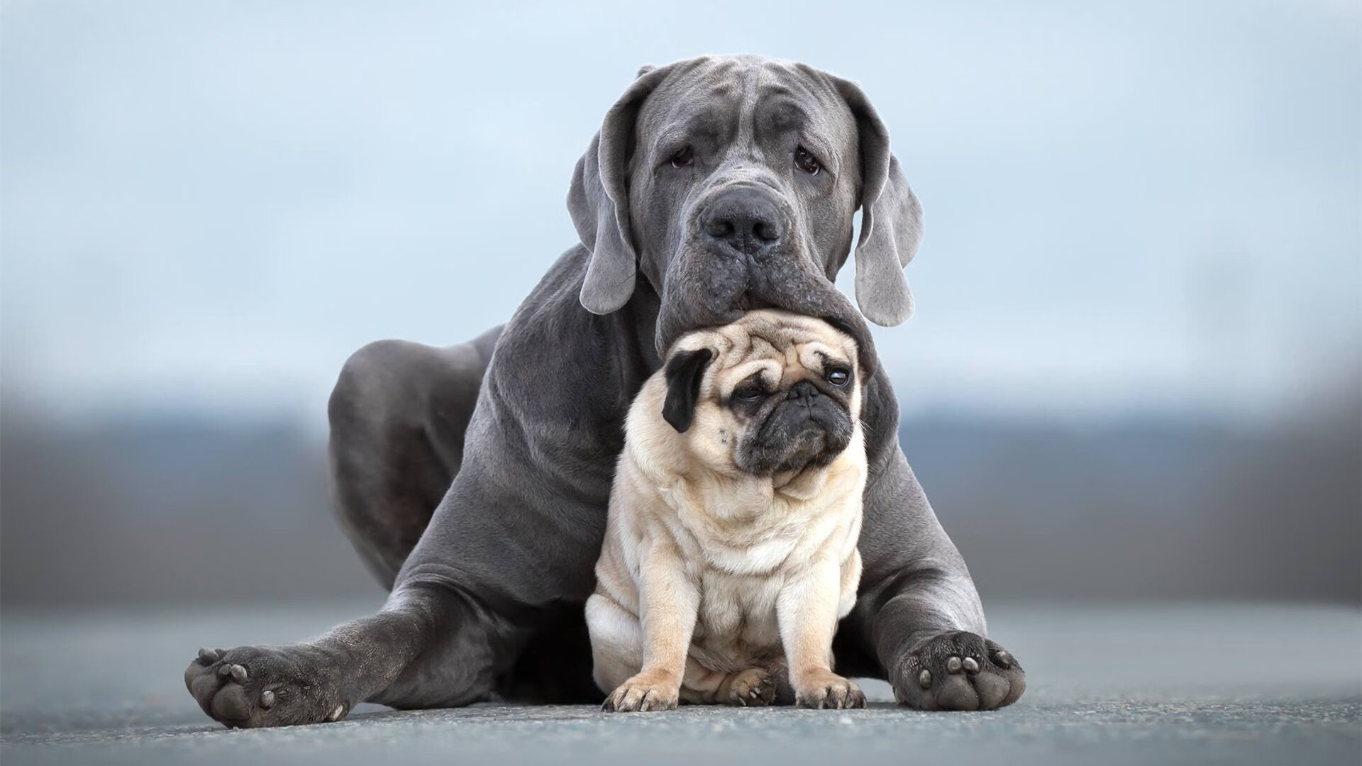 战术鬼画符，阿拉巴的无解方程式如何让尤文撕碎卡塔尔铁幕