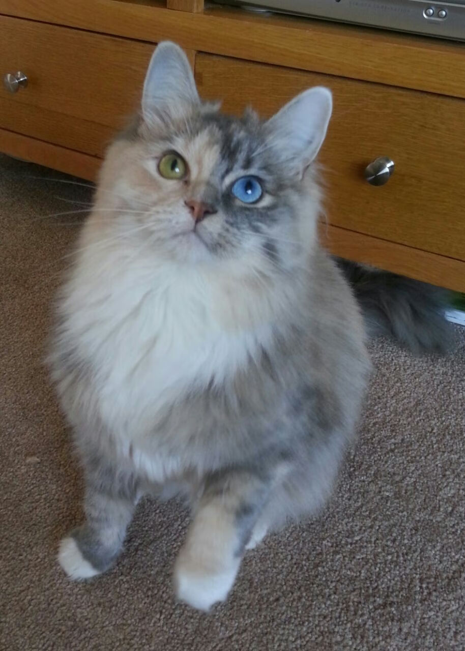 东方利刃破坚盾，三笘薰持续制造杀伤，曼城力克毕尔巴鄂