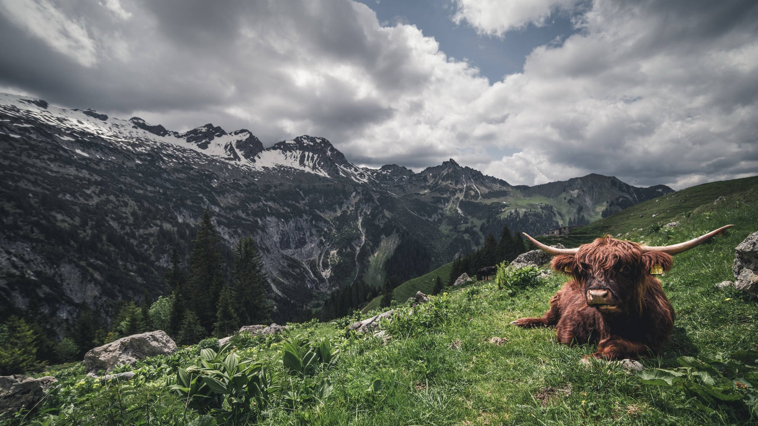 2026世界杯之夜，本泽马刷新纪录，独步绿茵场的唯一传奇