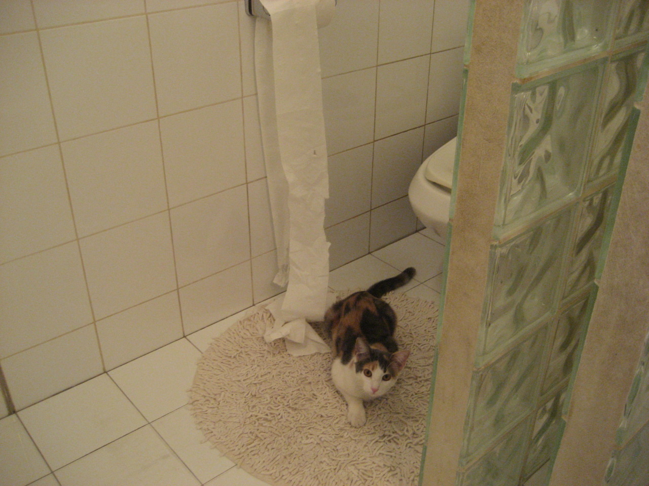 征服的双面，格列兹曼的冰与葡萄牙的火