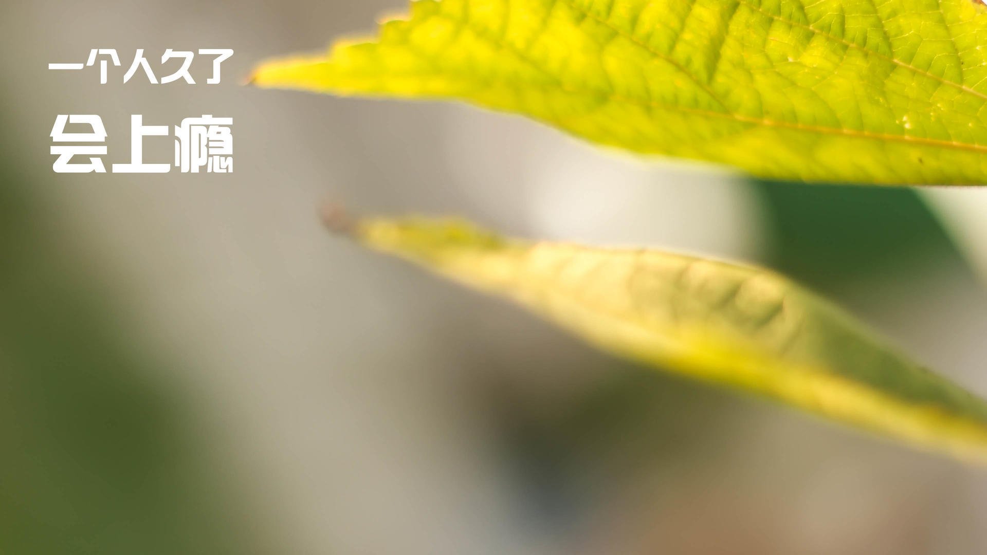 绿茵战场，当伊拉克血拼阿森纳，巴斯托尼如何成为关键先生？