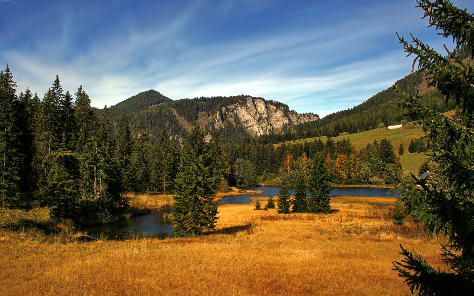精密仪器对阵钢铁巨轮，伦纳德以手术刀式掌控力，切割掘金与北京队的命运
