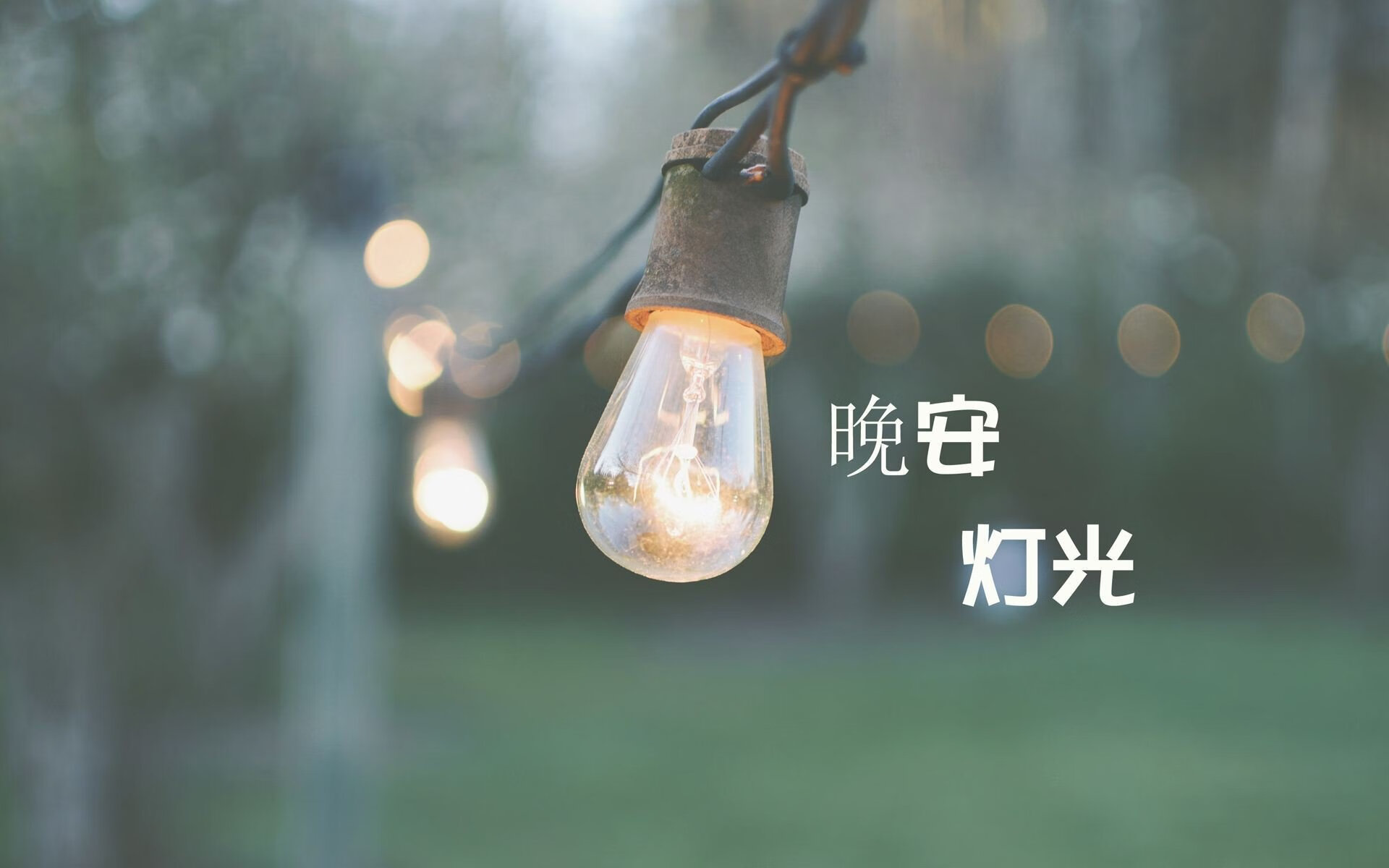 橙衣风暴席卷沙漠,德容掌舵,荷兰以横扫之势宣告王者归来