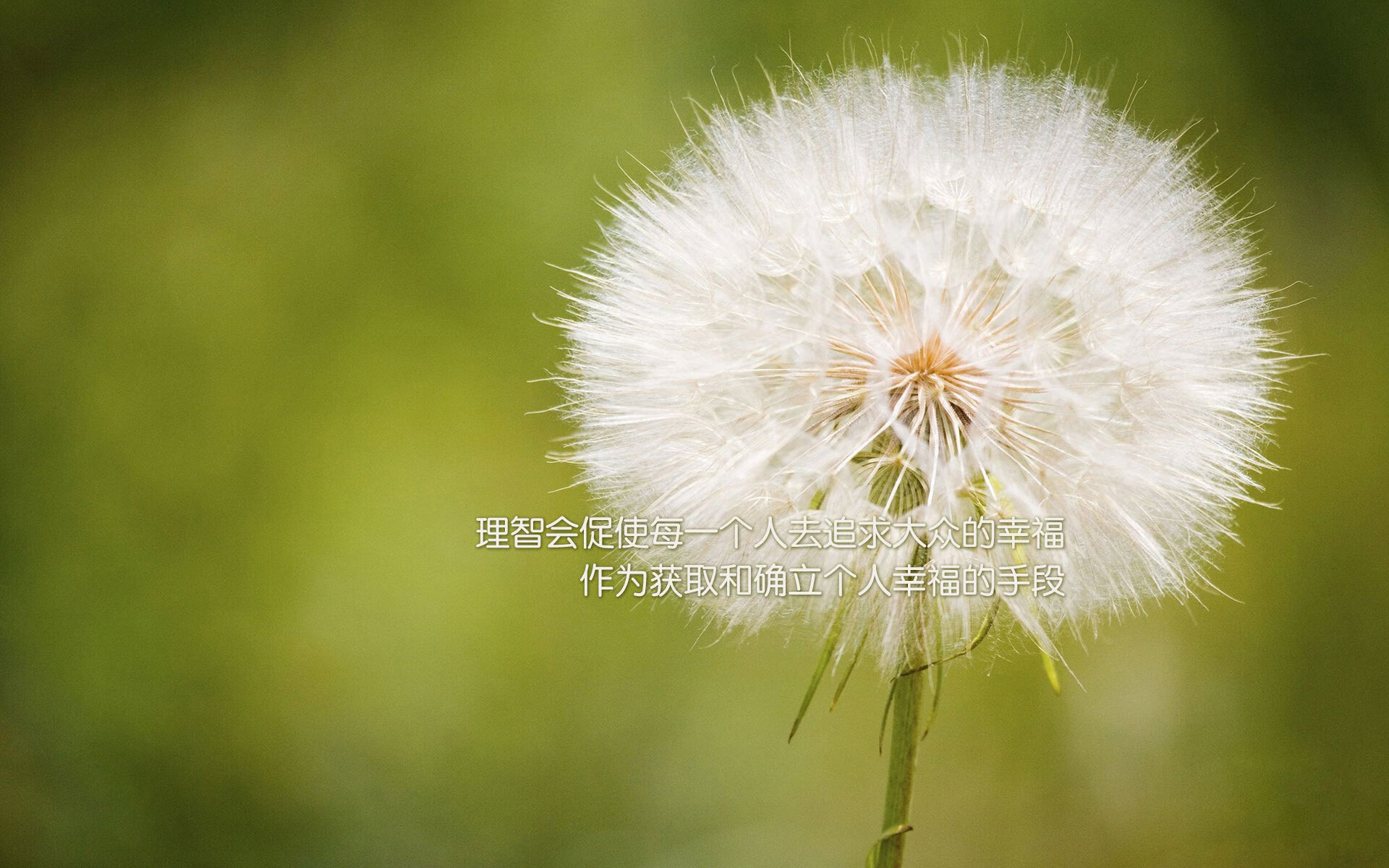 2026世界杯H组关键战，斯洛伐克碾压美国，莱万多夫斯基带队书写东欧足球新传奇